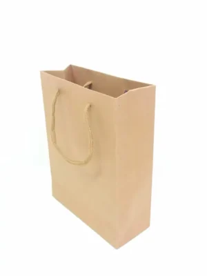 Bolsa de papel kraft marrón LISA